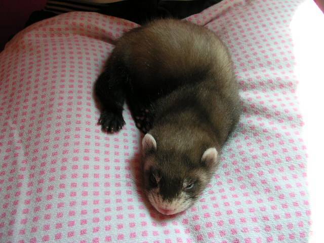 DSCN3524.JPG