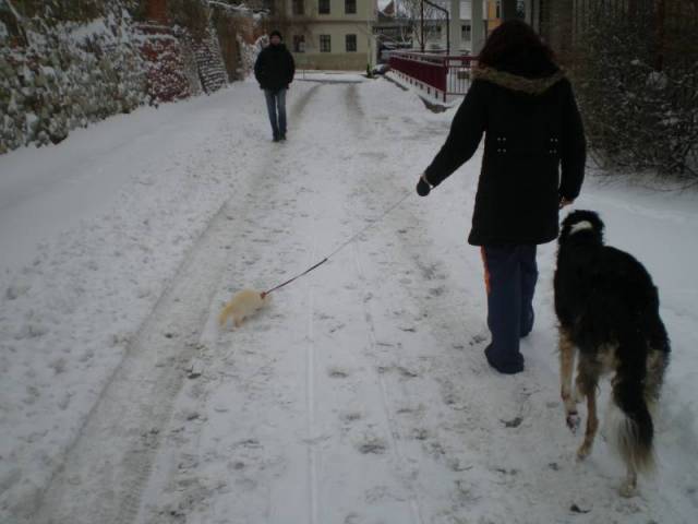 P1100424.JPG
