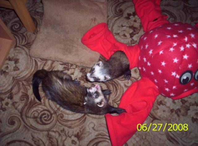 100_4680.JPG