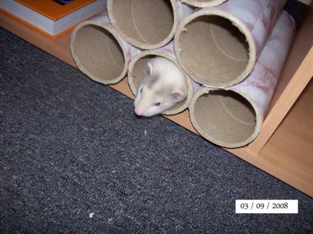 000_0016.JPG