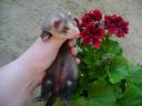 DSC03554.JPG