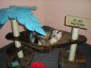 DSCN0892.JPG