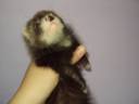 DSC00679.JPG