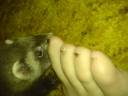 DSC00466.JPG