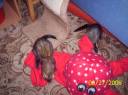 100_4670.JPG